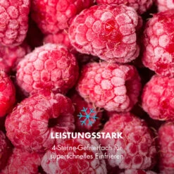 Garfield Eco Mini-Gefrierschrank 4-Sterne 34 Liter Kompakt -Haushaltsgeräte Rabatte 10032853 de 0006 logo