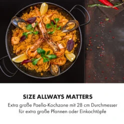 Delicatessa 3 Flex Induktionskochfeld 3 Zonen 6600W Flexzone Schwarz -Haushaltsgeräte Rabatte 10034194 de 0003 logo