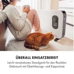 Baltrum Flow Elektroheizung Konvektor 2000 W Standgerät -Haushaltsgeräte Rabatte 10035034 de 0007 logo