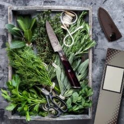 Infinity Wave 4" Schälmesser 61 HRC Damaszenerstahl -Haushaltsgeräte Rabatte 10039038 yy 0003 logo