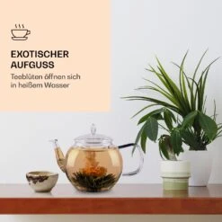 Feelino 6er Teeblume Mix Schwarz -Haushaltsgeräte Rabatte 10040408 de 0003 logo