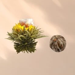 Feelino 6er Teeblume Mix Schwarz -Haushaltsgeräte Rabatte 10040408 yy 0007 logo